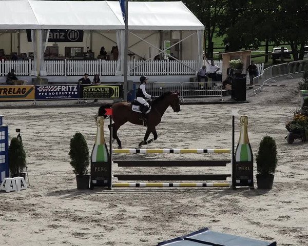 Reitturnier Humlikon 2022