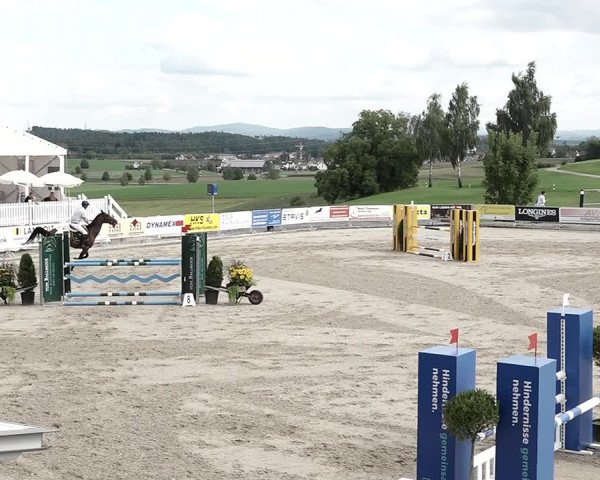Reitturnier Humlikon 2022