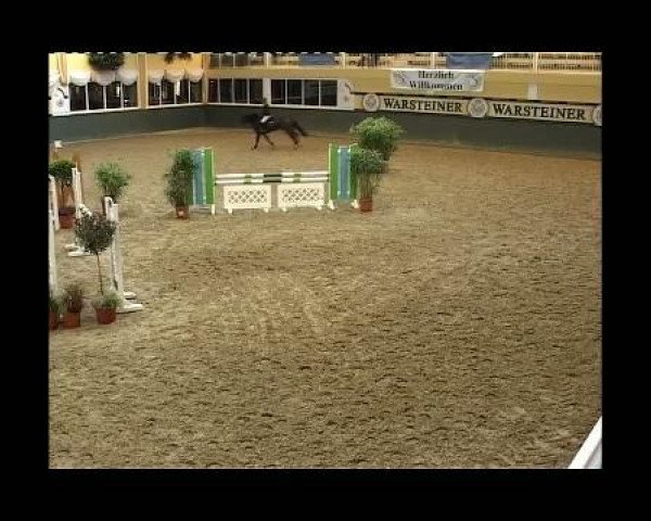 Pferd Elasto (Hannoveraner, 2005, von Earl)