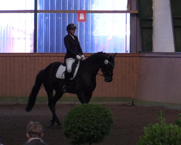 Reitturnier Hamburg-Bergstedt 2022