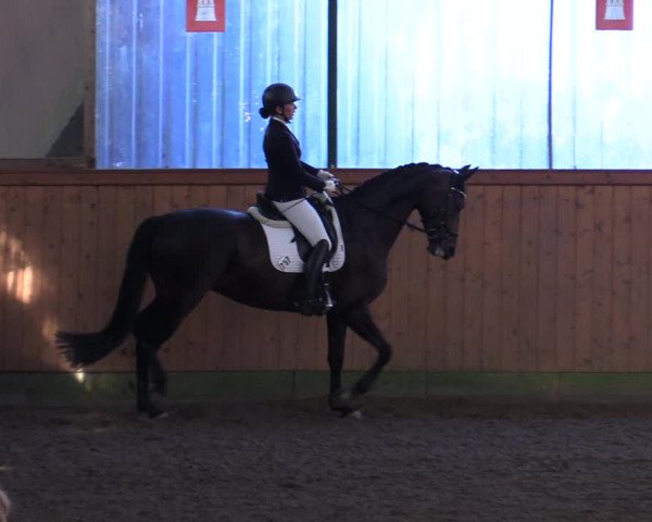 Reitturnier Hamburg-Bergstedt 2022