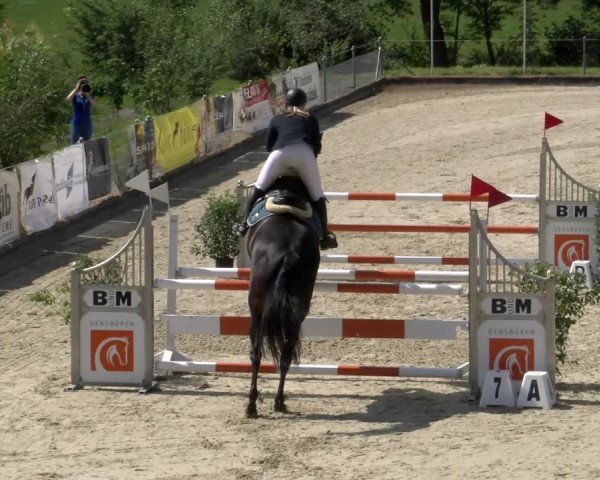 Reitturnier Maienfeld 2022