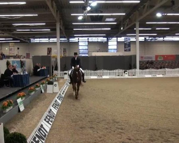 dressage horse Hemingway (Hanoverian, 2004, from His Highness)