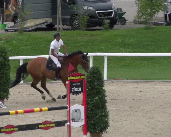 Reitturnier Bülach 2022