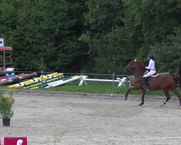 Reitturnier Maienfeld 2022