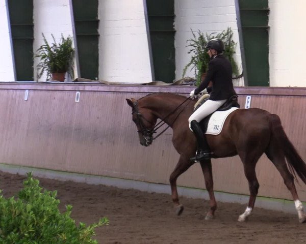 Reitturnier Hamburg-Bergstedt 2022