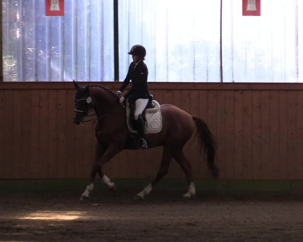 Reitturnier Hamburg-Bergstedt 2022