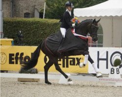 dressage horse Eivissa (Westphalian, 2019, from Escamillo)