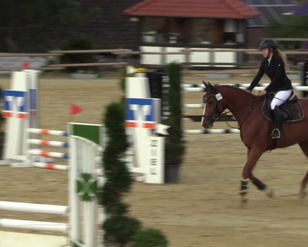Reitturnier Vlotho-Valdorf 2022