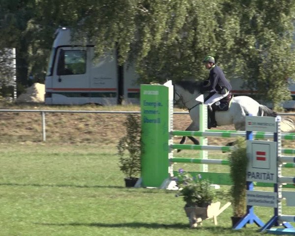 Reitturnier Dannenberg 2022