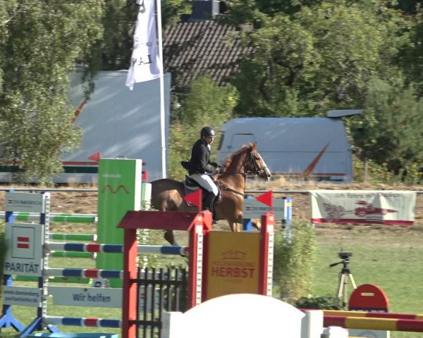 Reitturnier Dannenberg 2022