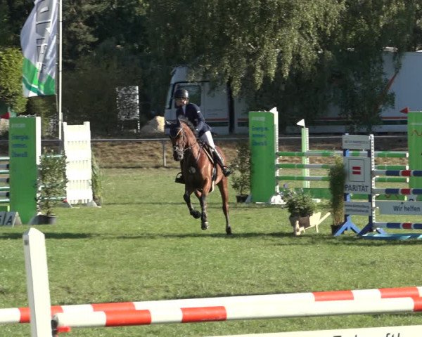 Reitturnier Dannenberg 2022