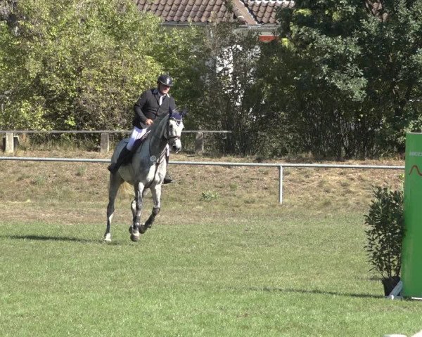 Reitturnier Dannenberg 2022