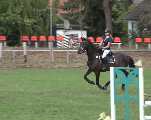 Reitturnier Dannenberg 2022