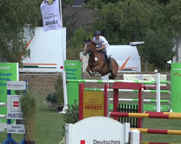 Reitturnier Dannenberg 2022