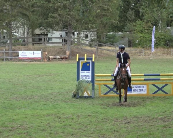 Reitturnier Dannenberg 2022