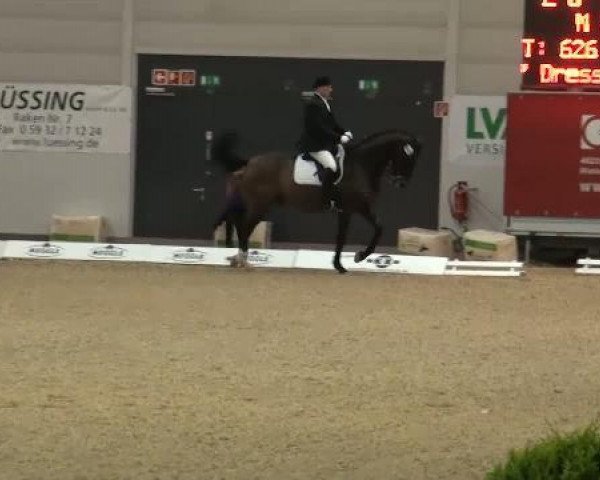 Dressurpferd Lazzaro 9 (Dänisches Warmblut, 1996, von Loran)