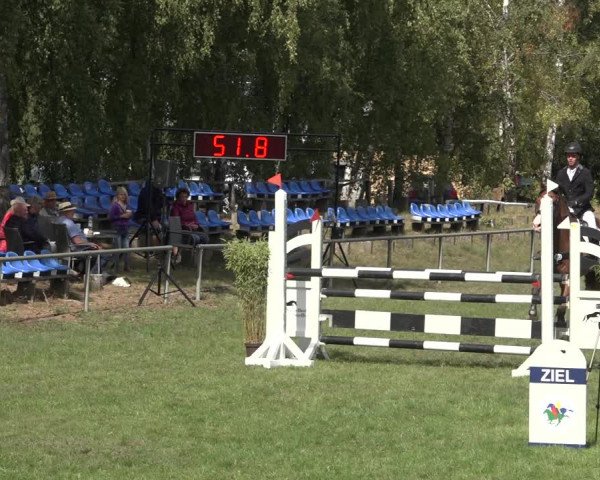 Reitturnier Dannenberg 2022