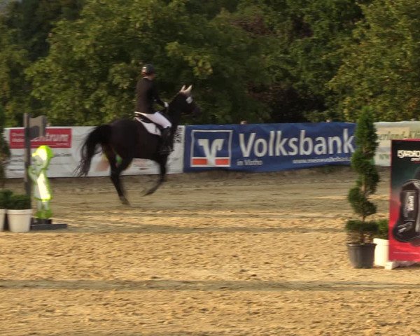 Reitturnier Vlotho-Valdorf 2022