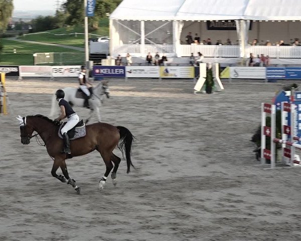 Reitturnier Humlikon 2022