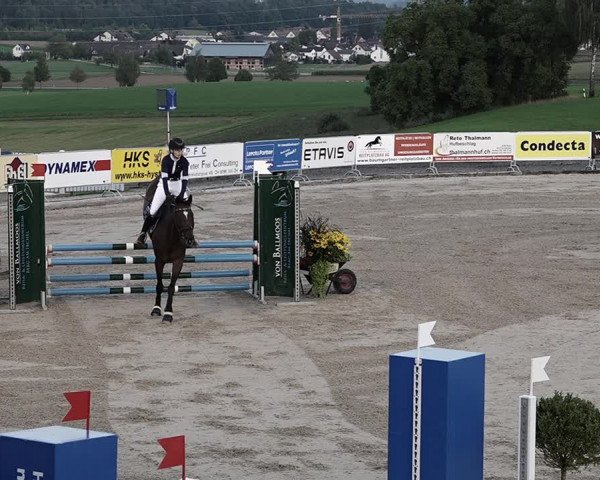 Reitturnier Humlikon 2022