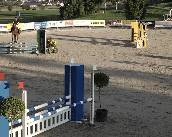 Reitturnier Humlikon 2022