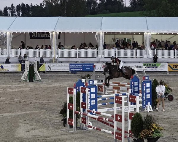 Reitturnier Humlikon 2022