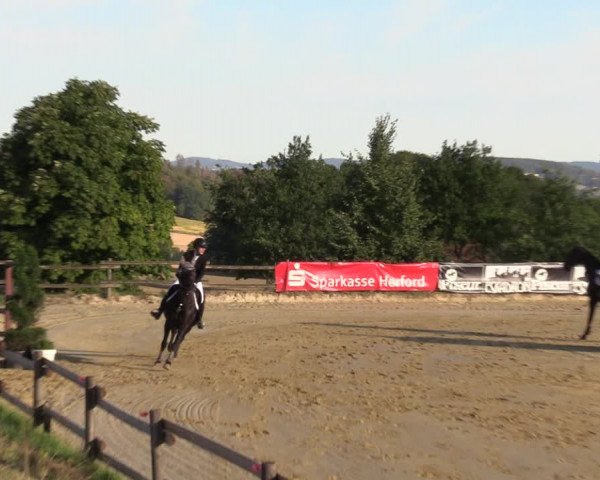 Reitturnier Vlotho-Valdorf 2022