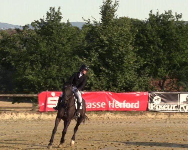 Reitturnier Vlotho-Valdorf 2022