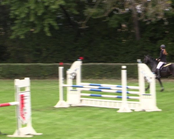 Reitturnier Westeregeln 2021
