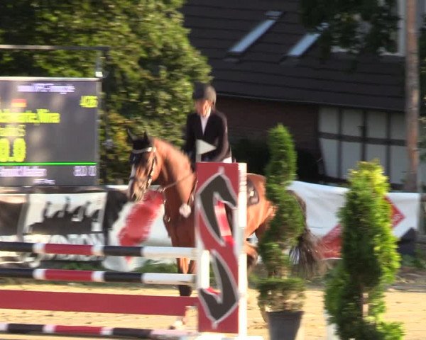 Reitturnier Vlotho-Valdorf 2022