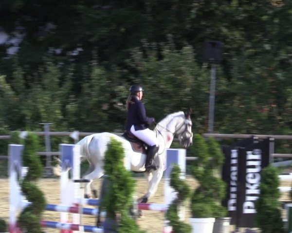 Reitturnier Vlotho-Valdorf 2022