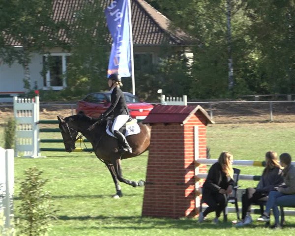Reitturnier Dannenberg 2022