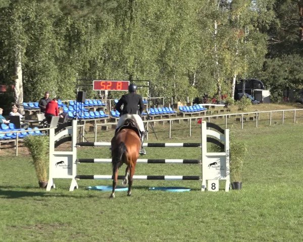 Reitturnier Dannenberg 2022