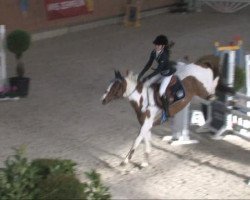 jumper Claudia 26 (Danish Warmblood, 1998, from Indian Son)