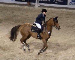 jumper Quattro's Albertina (Oldenburg, 2003, from Quattro B)