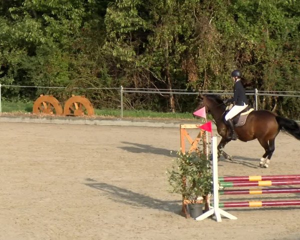 Reitturnier Maienfeld 2022