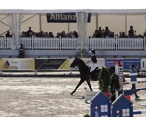 Reitturnier Humlikon 2022