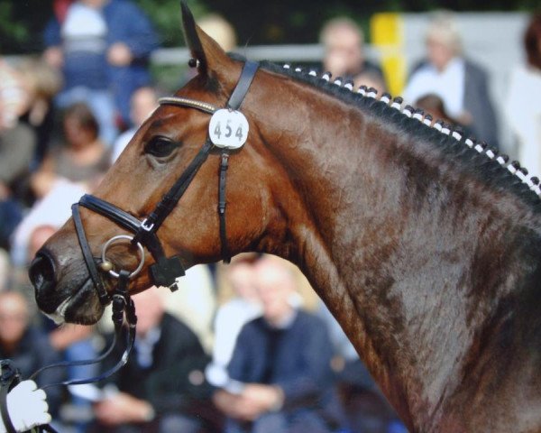 broodmare Fleet-Street (Rhinelander, 2003, from Fürst Piccolo)