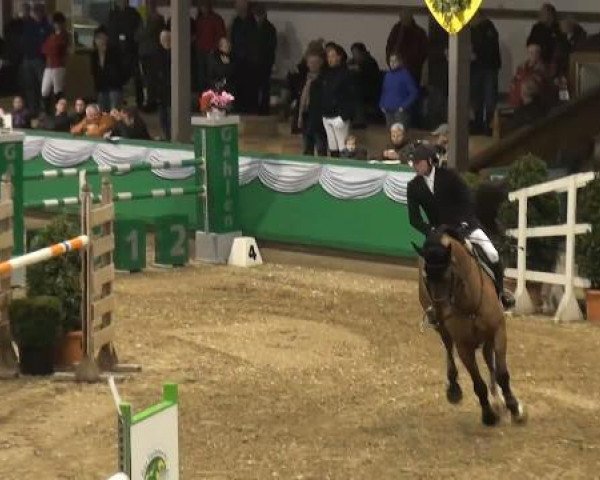 jumper Vodermus (KWPN (Royal Dutch Sporthorse), 2002, from Odermus R)