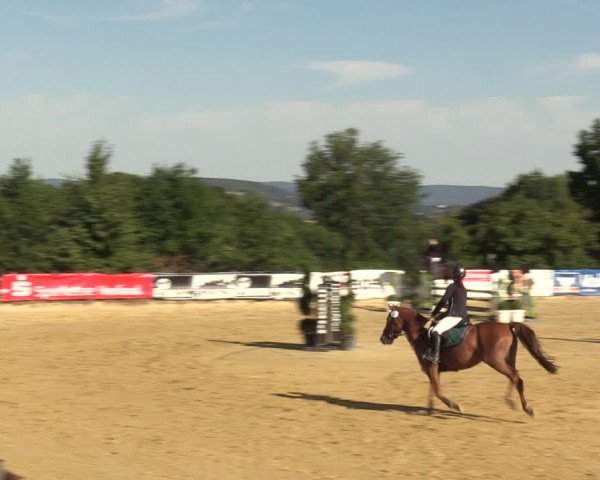 Reitturnier Vlotho-Valdorf 2022