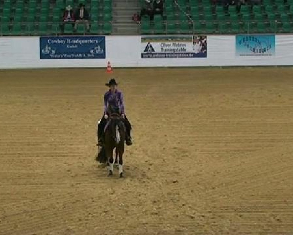 horse Challenge Olena (Quarter Horse, 2007, from Spat Olena)