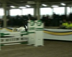 broodmare Toscana 124 (Holsteiner, 2003, from Colman)