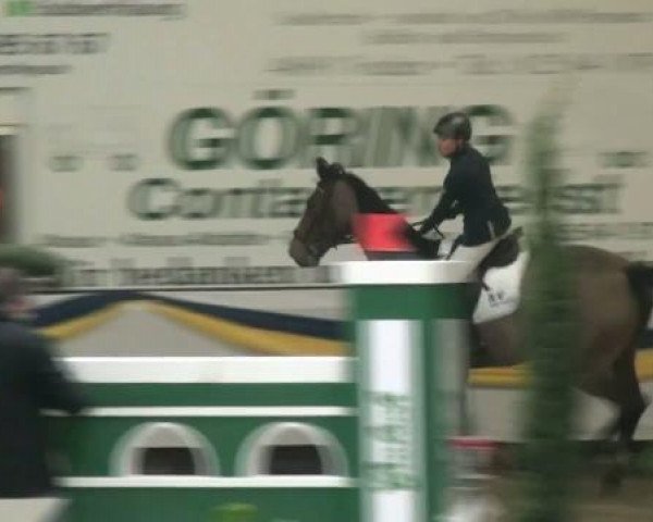 Springpferd Carinjon (Holsteiner, 2005, von Carinjo)