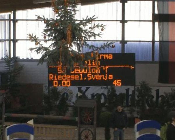 jumper Cebulon T (Rhinelander, 2004, from Controller)
