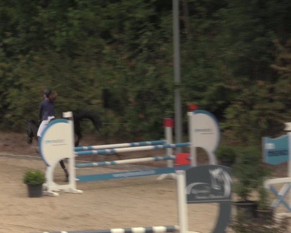 Reitturnier Köln-Flittard 2022