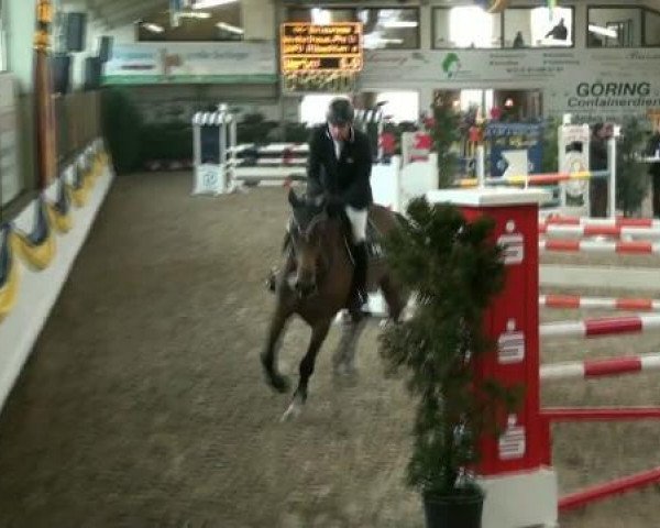 jumper Balouness (Rhinelander, 2007, from Balou du Rouet)