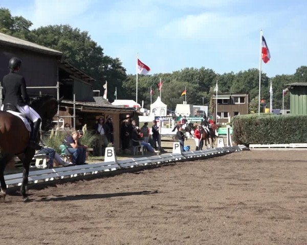 Reitturnier Hamburg-Bergstedt 2022