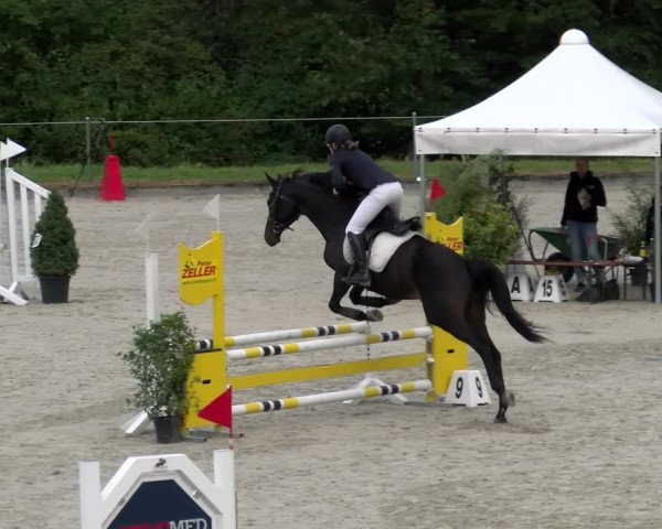Reitturnier Maienfeld 2022