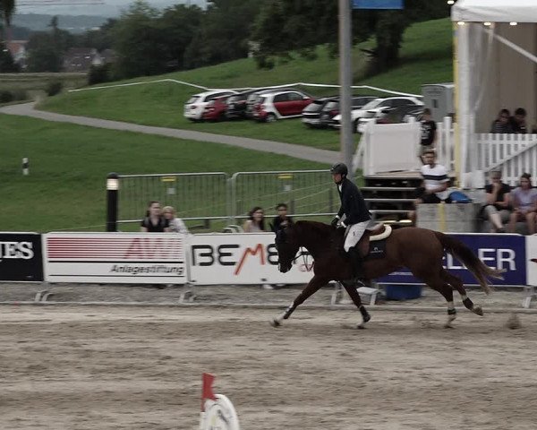 Reitturnier Humlikon 2022